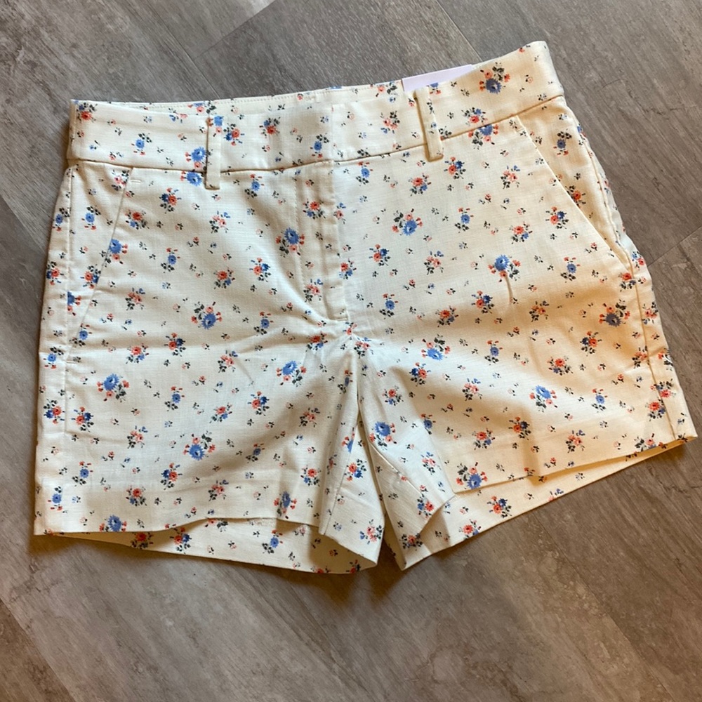 NWT Loft Riviera shorts